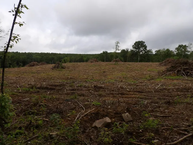 $58,500 | Lot 8 Hughes Cemetery Road, Evensville, TN 37332