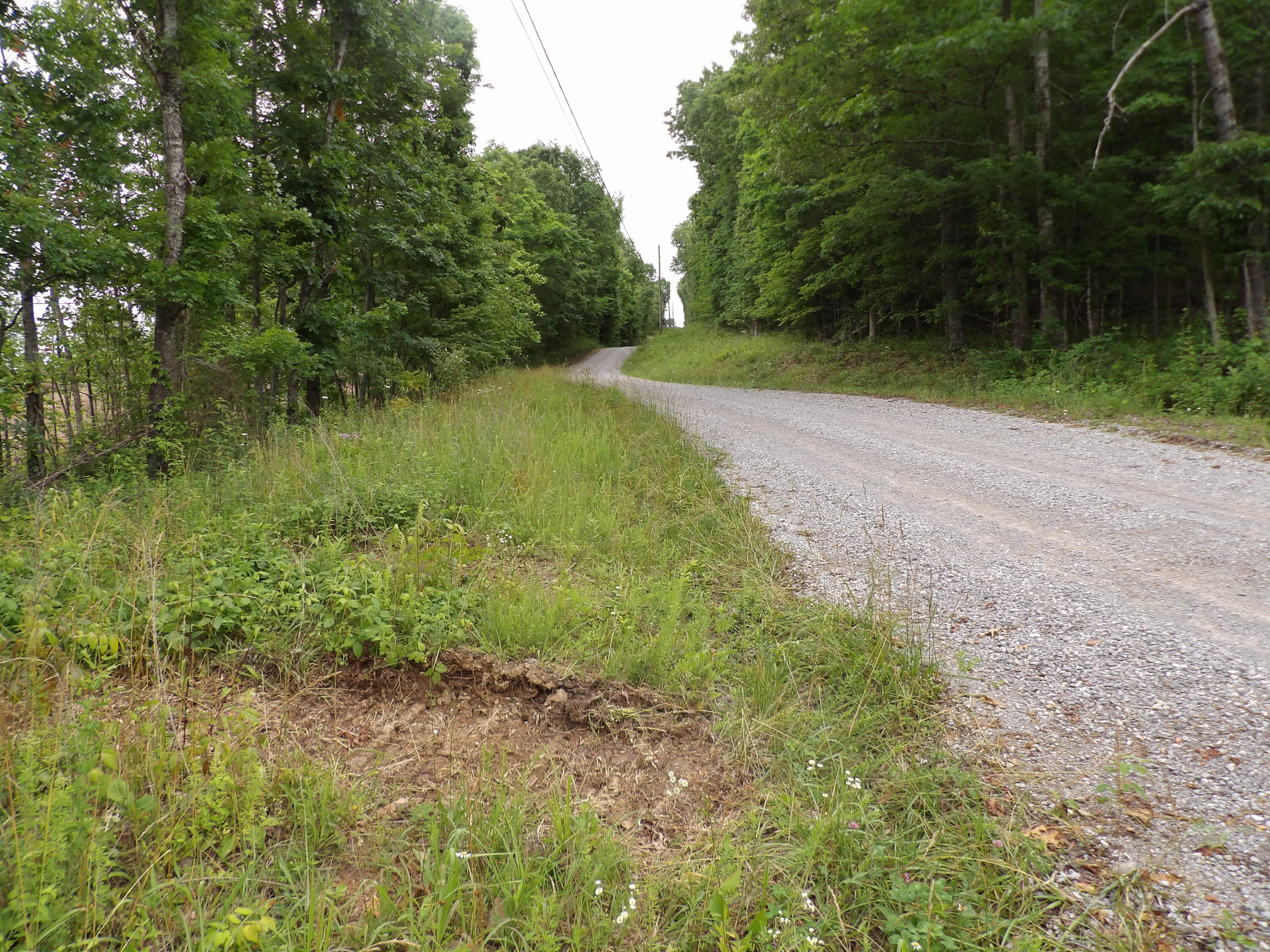 Lot 8 Hughes Cemetery Road Evensville, TN 37332 - Photo 14 of 15 100_1577