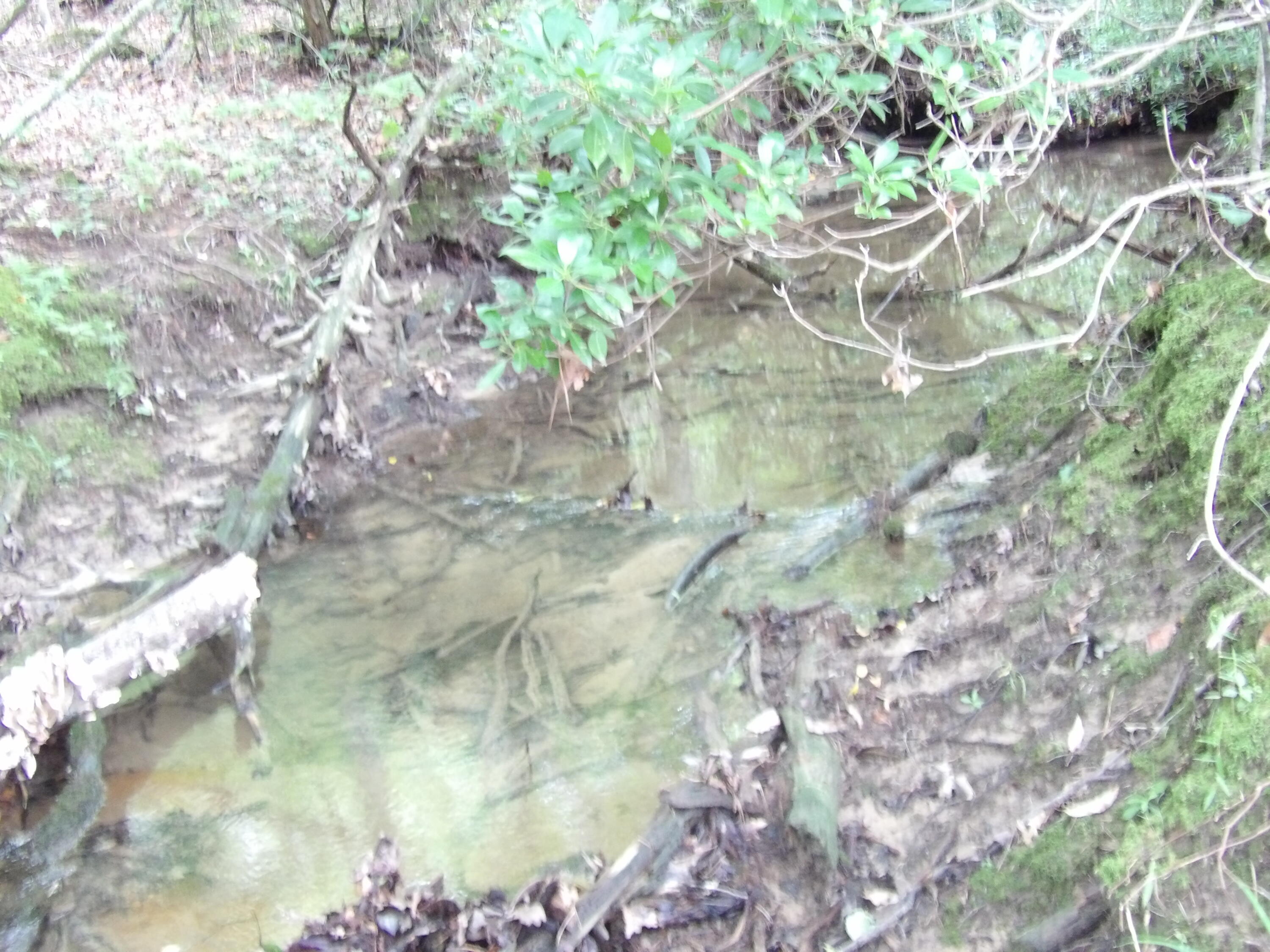 Lot 8 Hughes Cemetery Road Evensville, TN 37332 - Photo 5 of 15 100_1562