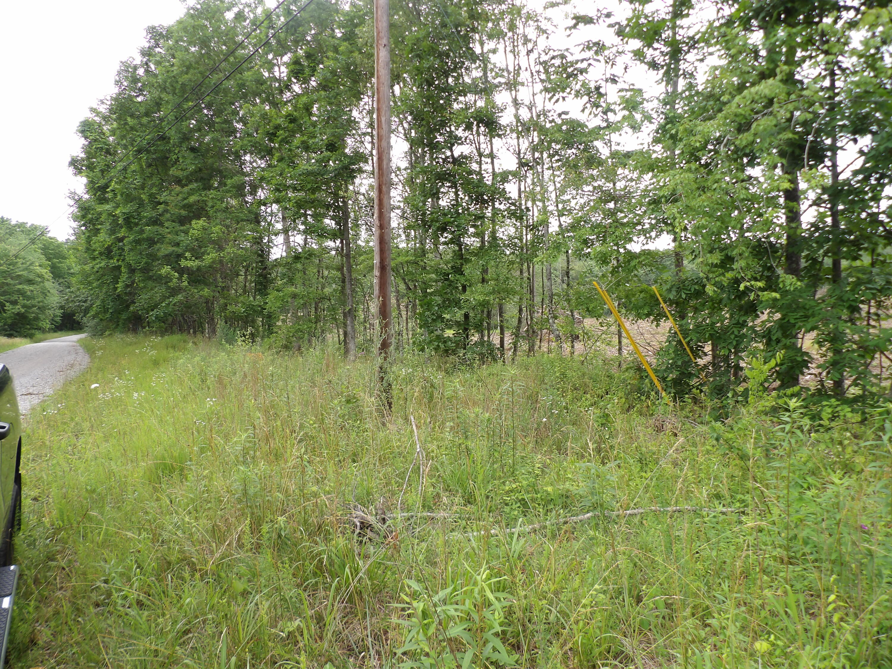 Lot 8 Hughes Cemetery Road Evensville, TN 37332 - Photo 7 of 15 100_1579