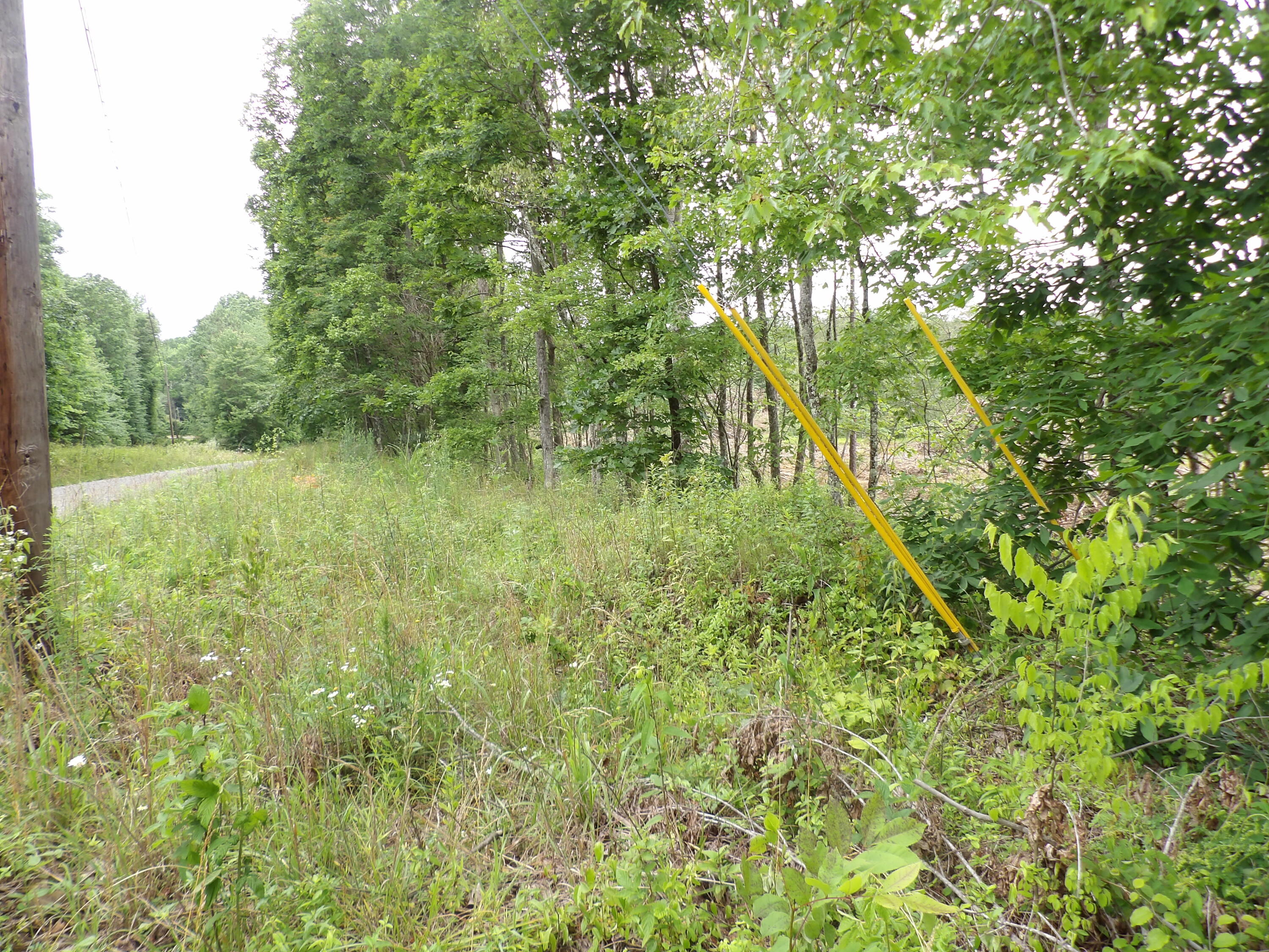 Lot 8 Hughes Cemetery Road Evensville, TN 37332 - Photo 8 of 15 100_1580