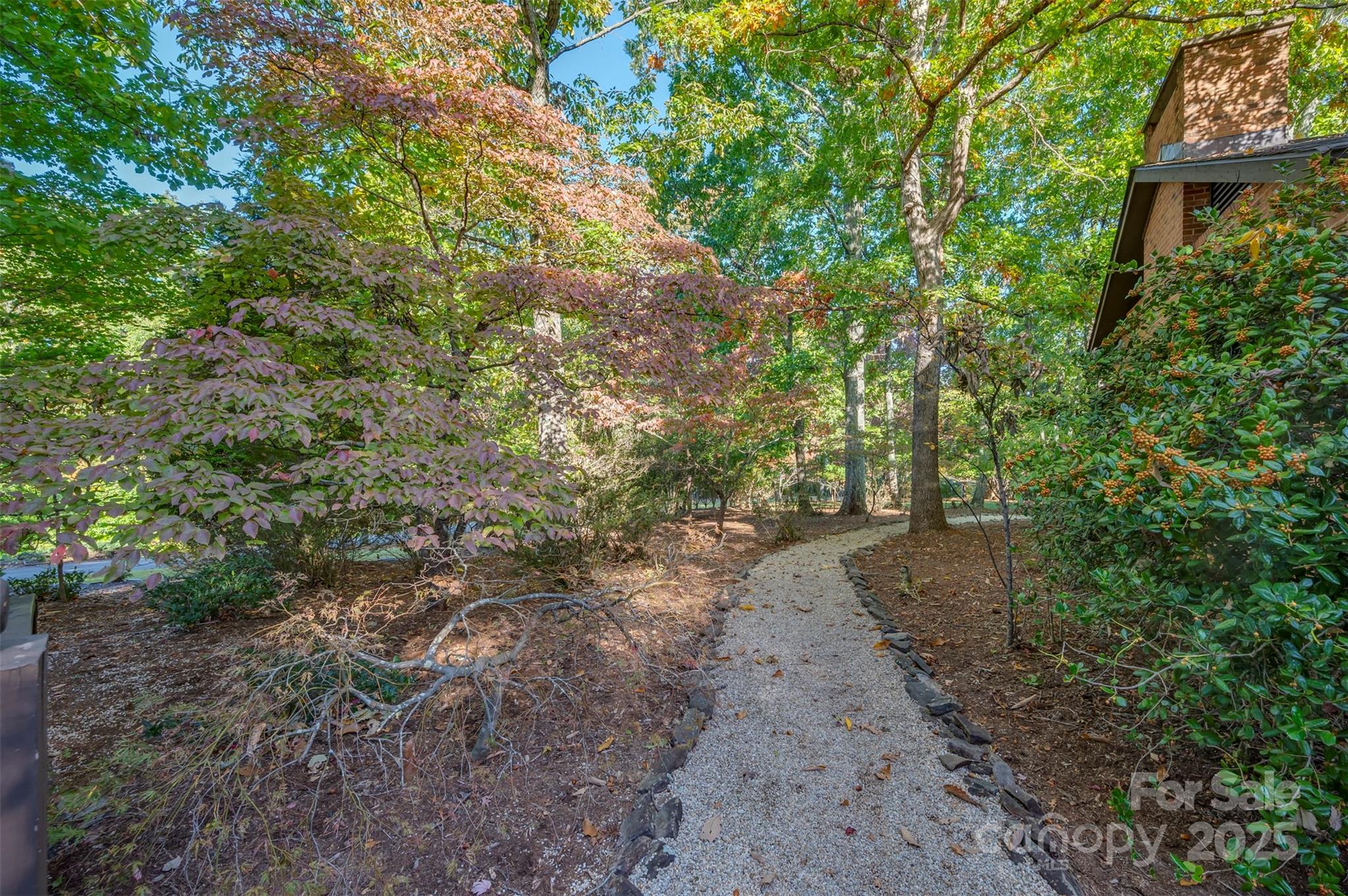 550 Ridgetop Road Tryon, NC 28782 - Photo 33 of 39 a view of a yard with plants and a tree