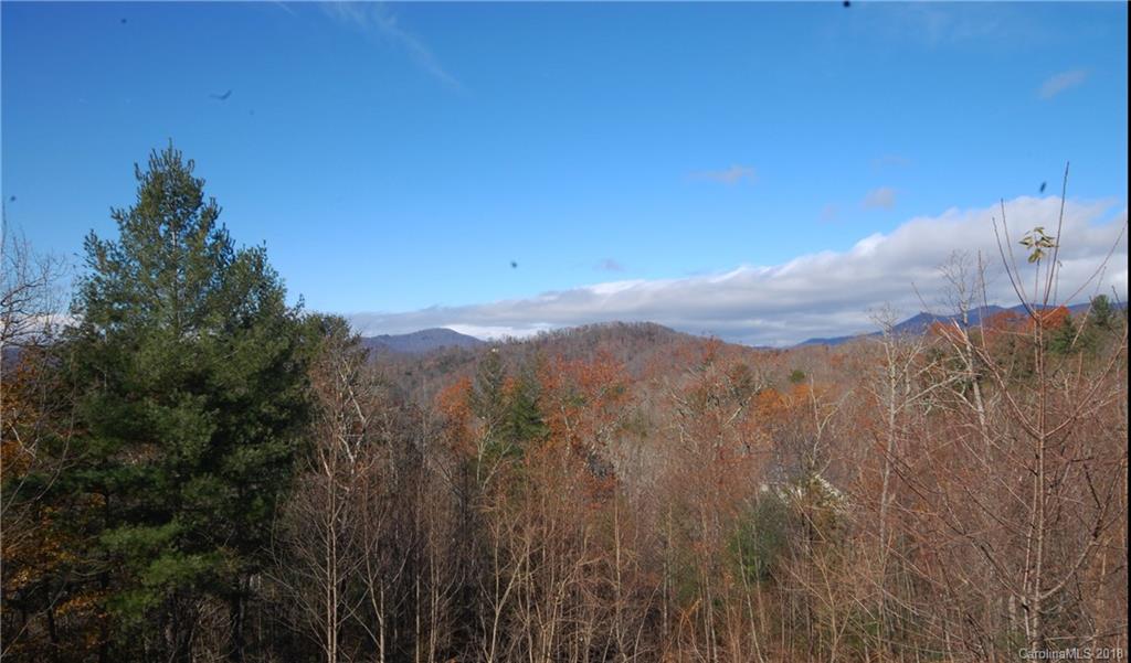 71 Dalya Road Swannanoa, NC 28778 - Photo 26 of 26 Gallery Image 26