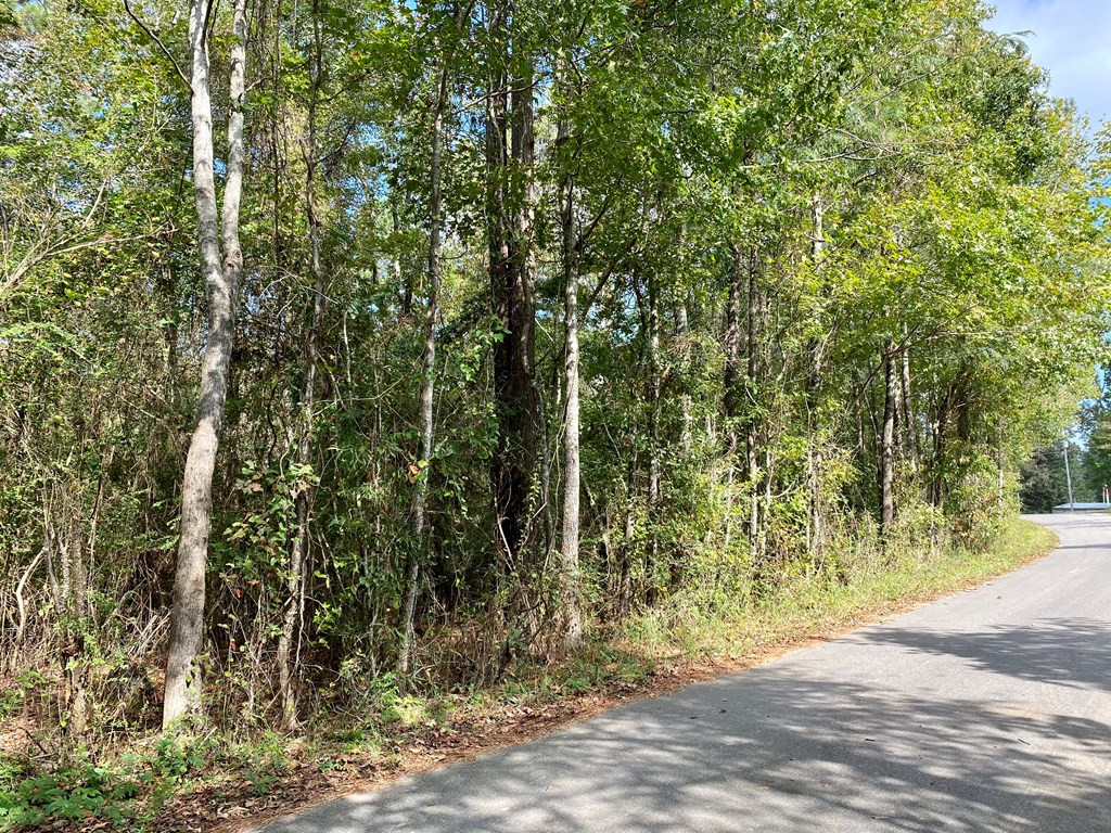Tbd Taylor Hill Road Braxton, MS 39044 - Photo 17 of 19 Photo 17