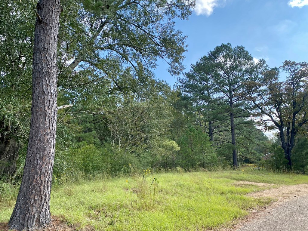 Tbd Taylor Hill Road Braxton, MS 39044 - Photo 18 of 19 Photo 18