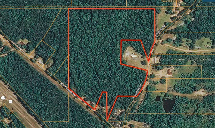 Tbd Taylor Hill Road Braxton, MS 39044 - Photo 19 of 19 Photo 19