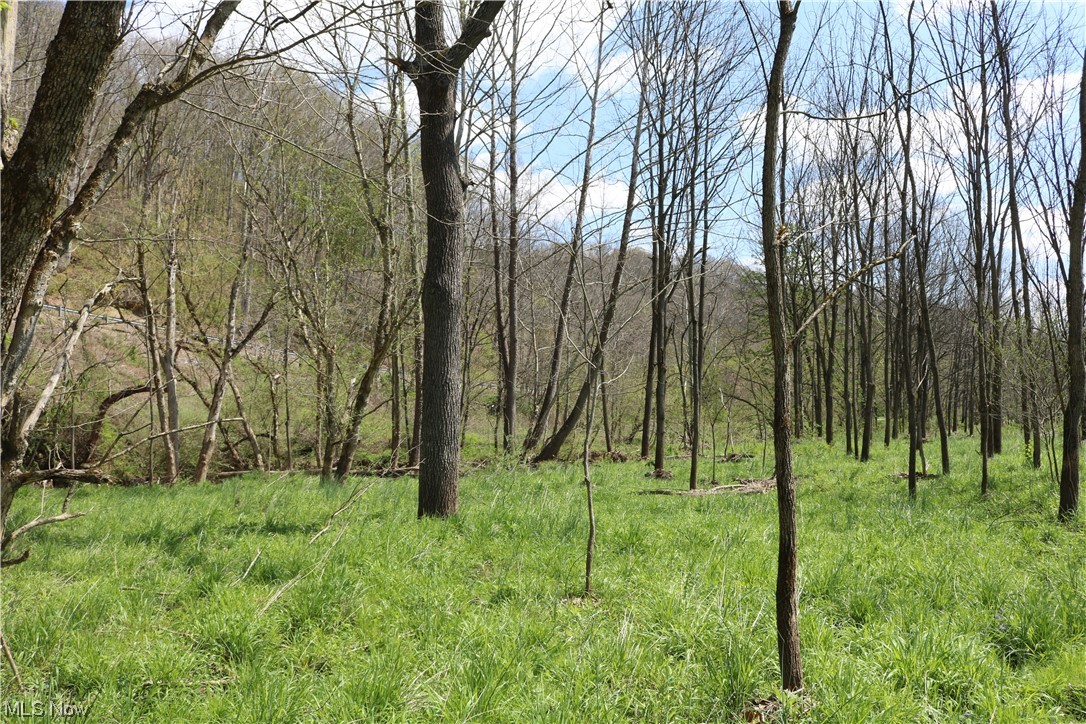 Hootowl Ridge Road Caldwell, OH 43724 - Photo 22 of 30 Gallery Image 22