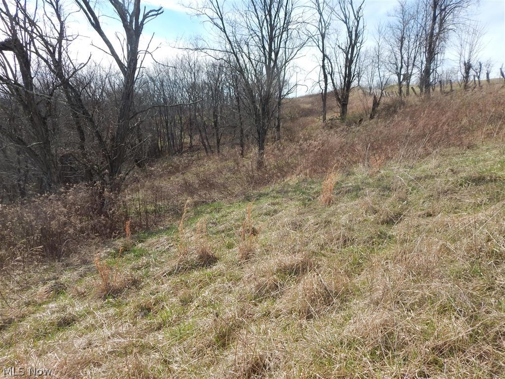Morehead Ridge Road Elizabeth, WV 26143 - Photo 5 of 9 Gallery Image 5