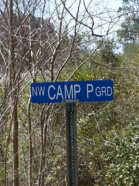 West Boundry Road Mayo, FL 32066 - Photo 1 of 5 Gallery Image 1
