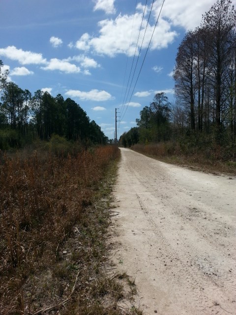 West Boundry Road Mayo, FL 32066 - Photo 2 of 5 Gallery Image 2