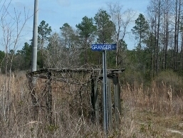 West Boundry Road Mayo, FL 32066 - Photo 3 of 5 Gallery Image 3