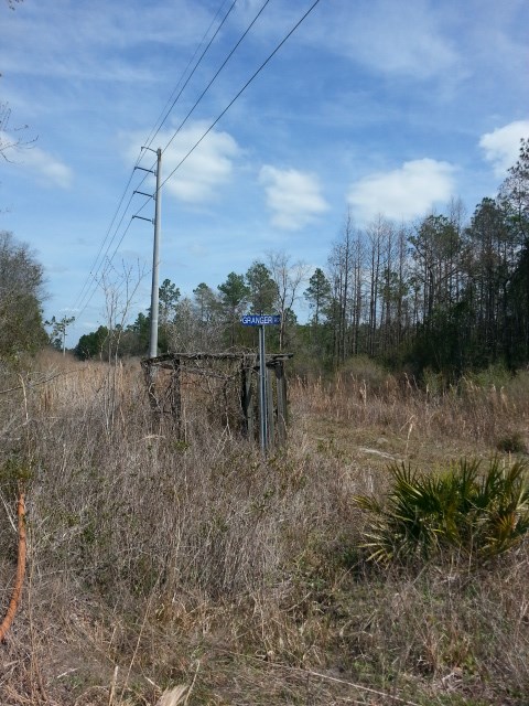 West Boundry Road Mayo, FL 32066 - Photo 4 of 5 Gallery Image 4