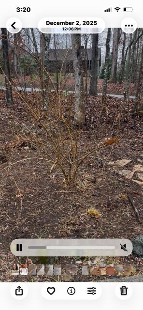 2279 Hy Top Road Young Harris, GA 30582 - Photo 17 of 33 Gallery Image 17