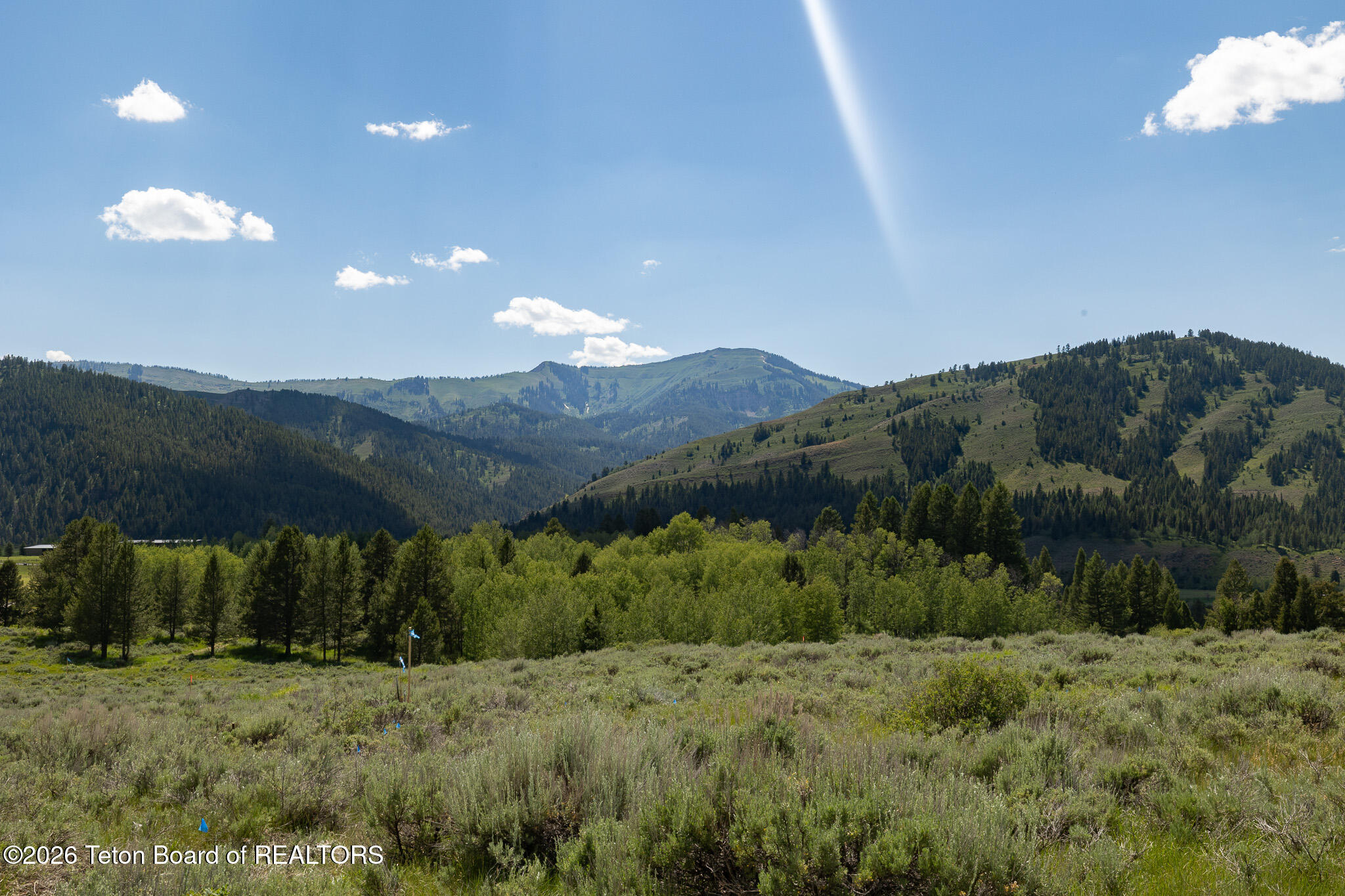 800 Elk Ridge Road Jackson, WY 83001 - Photo 6 of 24 Wolf Mountain