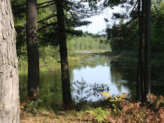 4399 Highlander Road Rhinelander, WI 54501 - Photo 12 of 20 Gallery Image 12