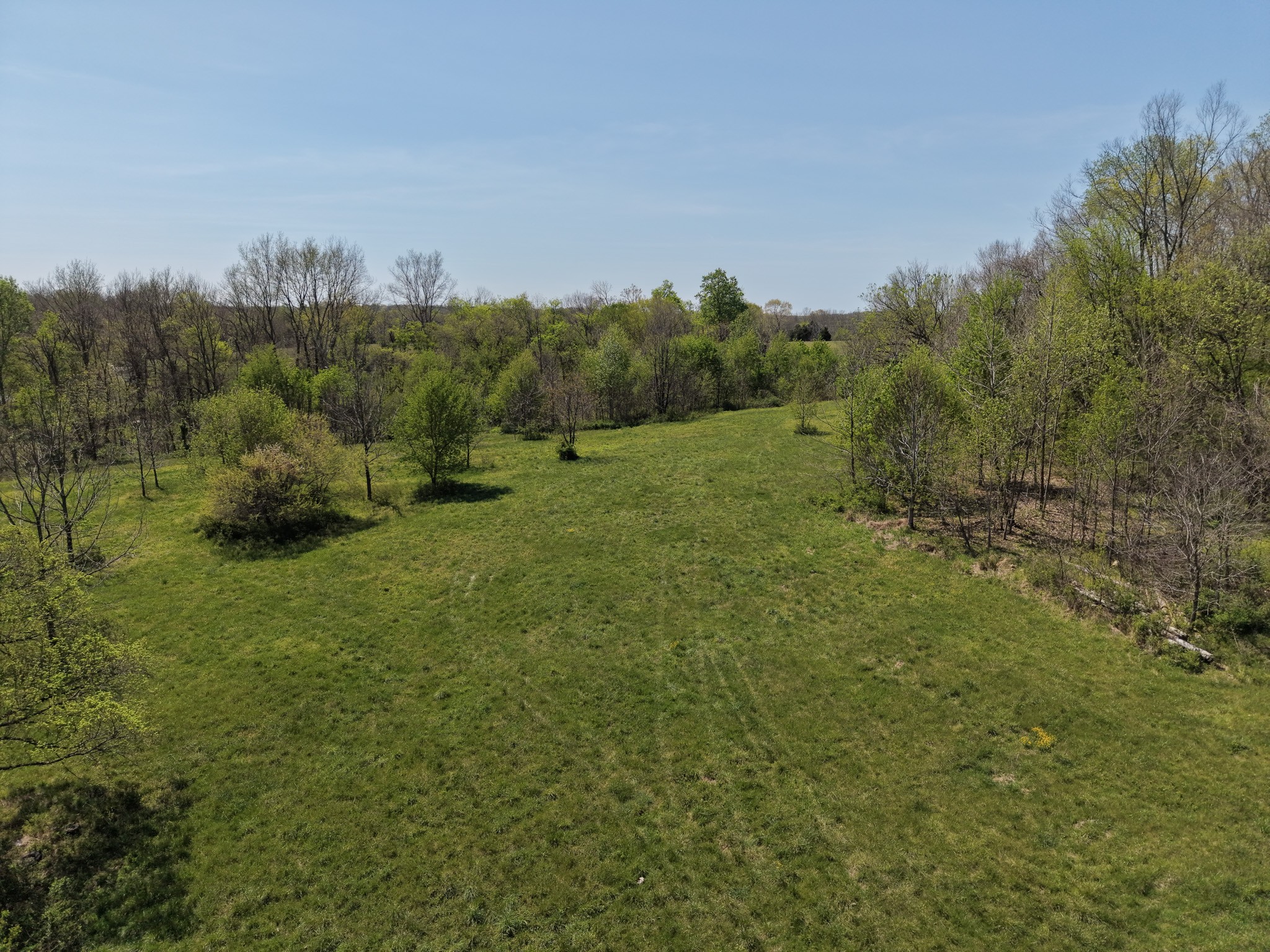 0 Batson Road Cumberland Furnace, TN 37051 - Photo 11 of 13 a view of an outdoor space and a yard