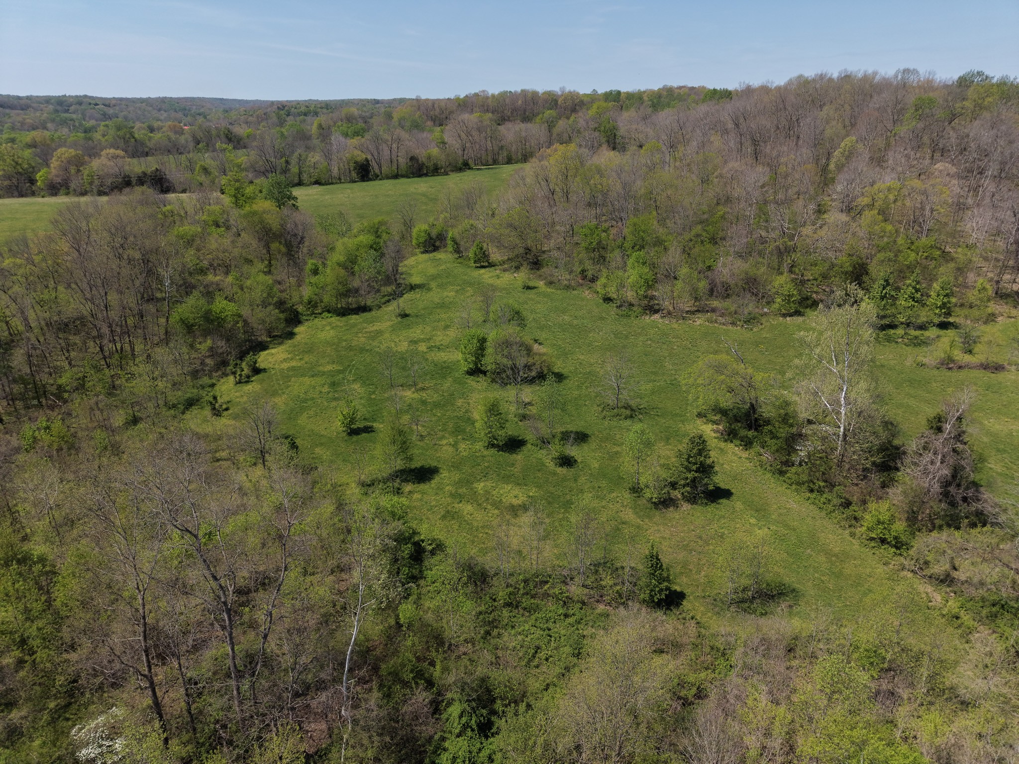 0 Batson Road Cumberland Furnace, TN 37051 - Photo 5 of 13 a view of a lush green forest with trees