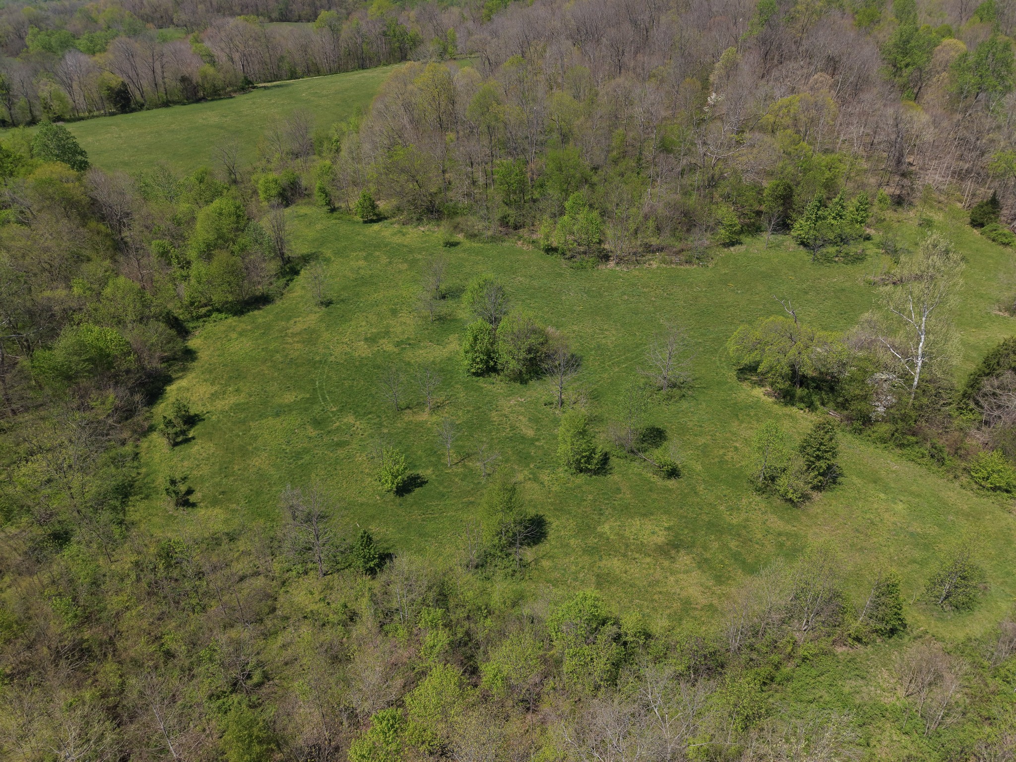 0 Batson Road Cumberland Furnace, TN 37051 - Photo 6 of 13 a view of a forest with a street