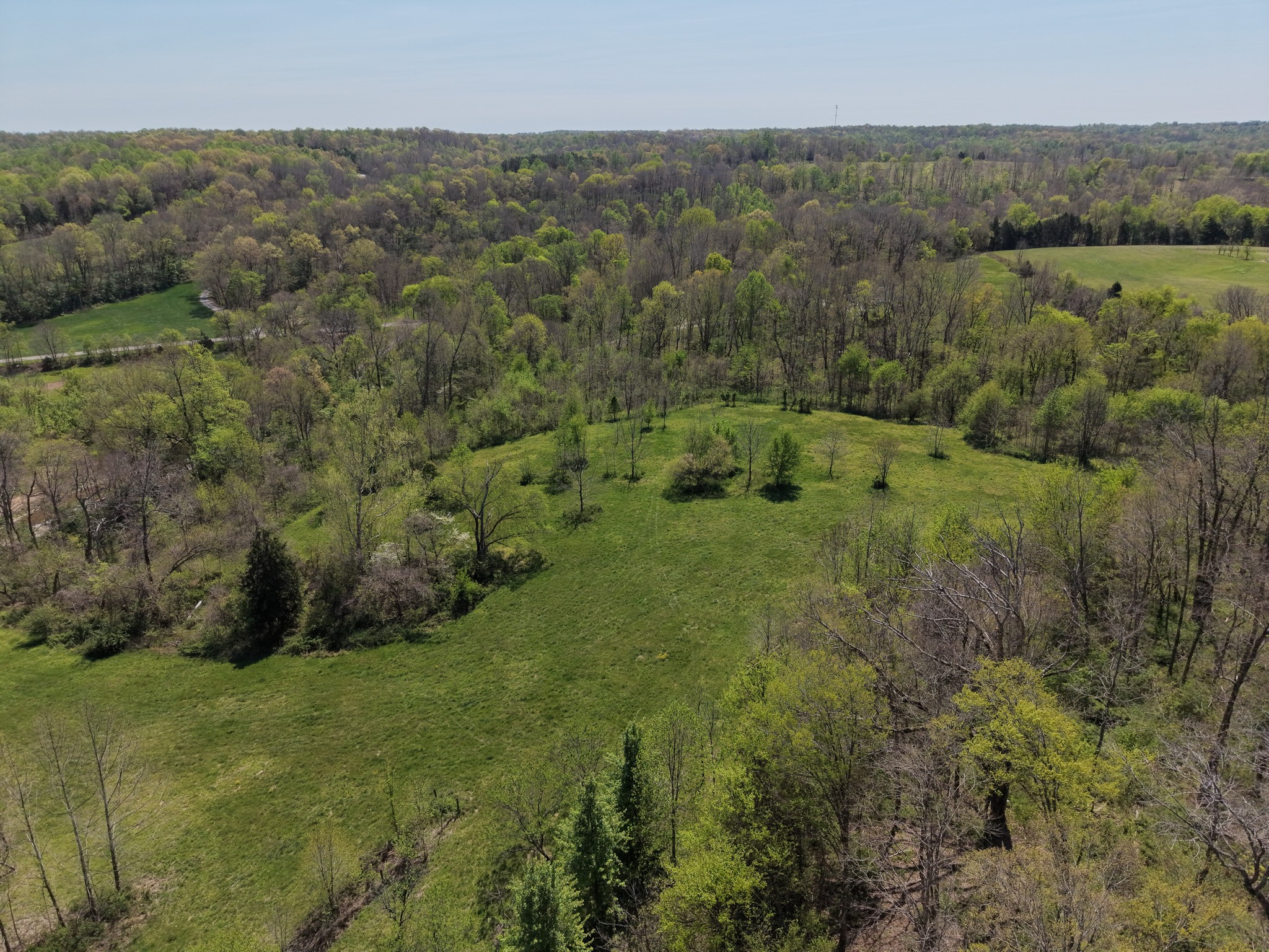 0 Batson Road Cumberland Furnace, TN 37051 - Photo 7 of 13 a view of a forest with a street