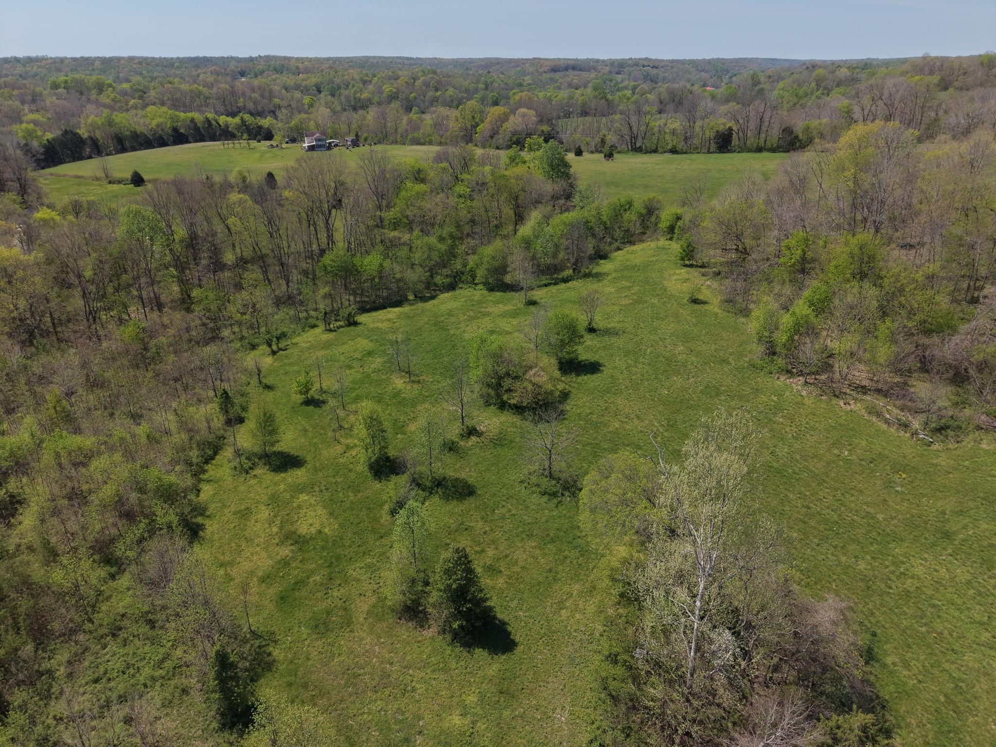 0 Batson Road Cumberland Furnace, TN 37051 - Photo 9 of 13 a view of a lush green forest with trees