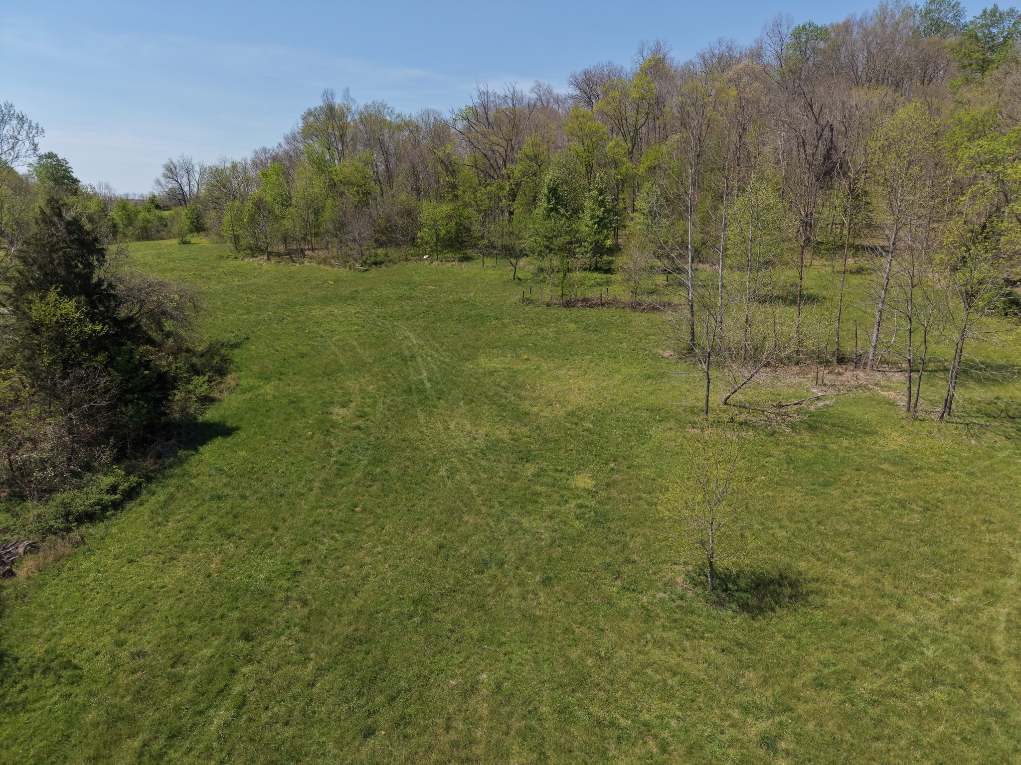 0 Batson Road Cumberland Furnace, TN 37051 - Photo 10 of 13 a view of an outdoor space and a yard