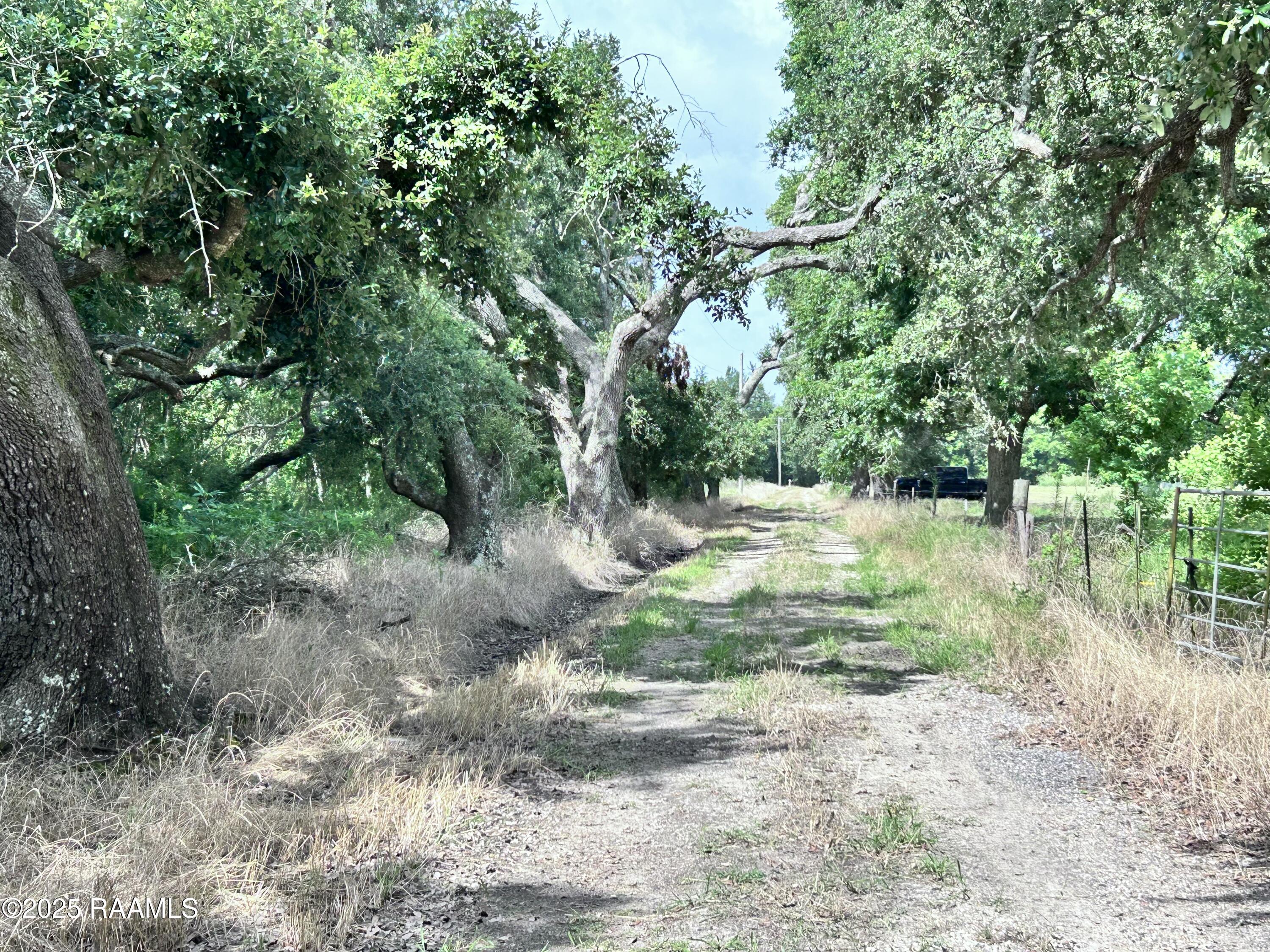 Tbd Sonnier Road, Unit 3E Church Point, LA 70525 - Photo 6 of 9 IMG_1729