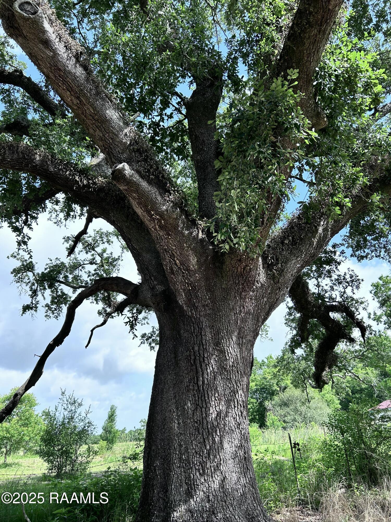 Tbd Sonnier Road, Unit 3E Church Point, LA 70525 - Photo 7 of 9 IMG_1730