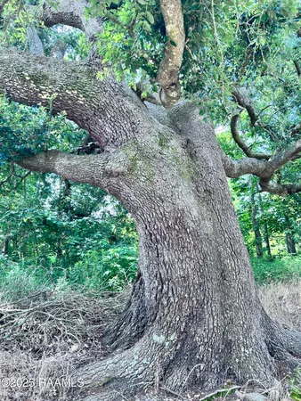 $45,000 | Tbd Sonnier Road, Unit 3E, Church Point, LA 70525