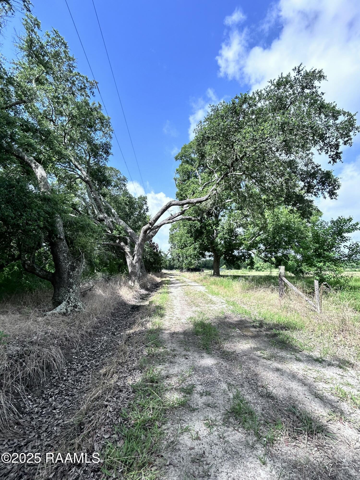 Tbd Sonnier Road, Unit 3E Church Point, LA 70525 - Photo 9 of 9 IMG_1732