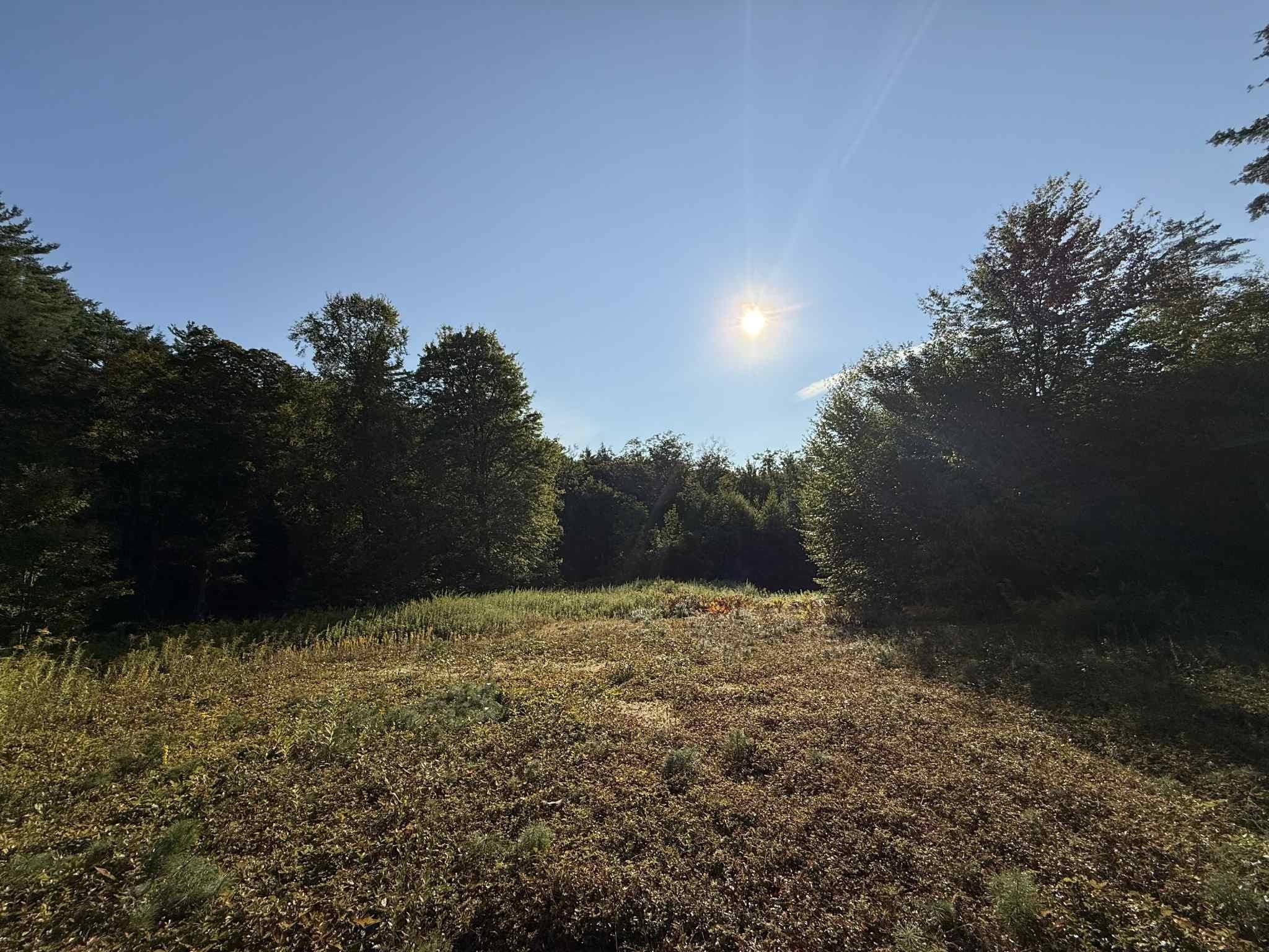 81 Parish Hill Road Newfane, VT 05351 - Photo 22 of 59