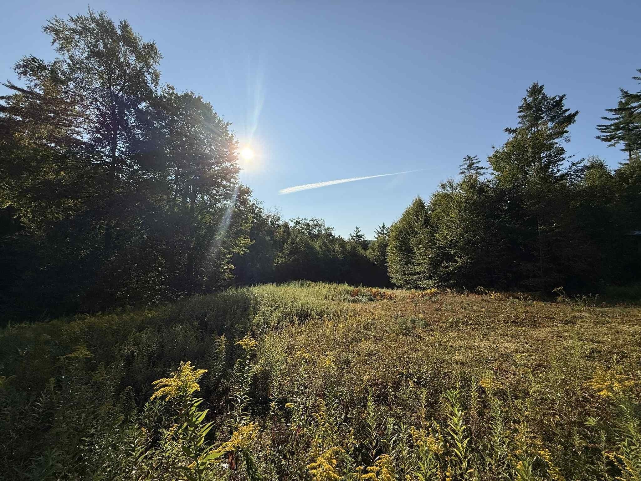 81 Parish Hill Road Newfane, VT 05351 - Photo 23 of 59