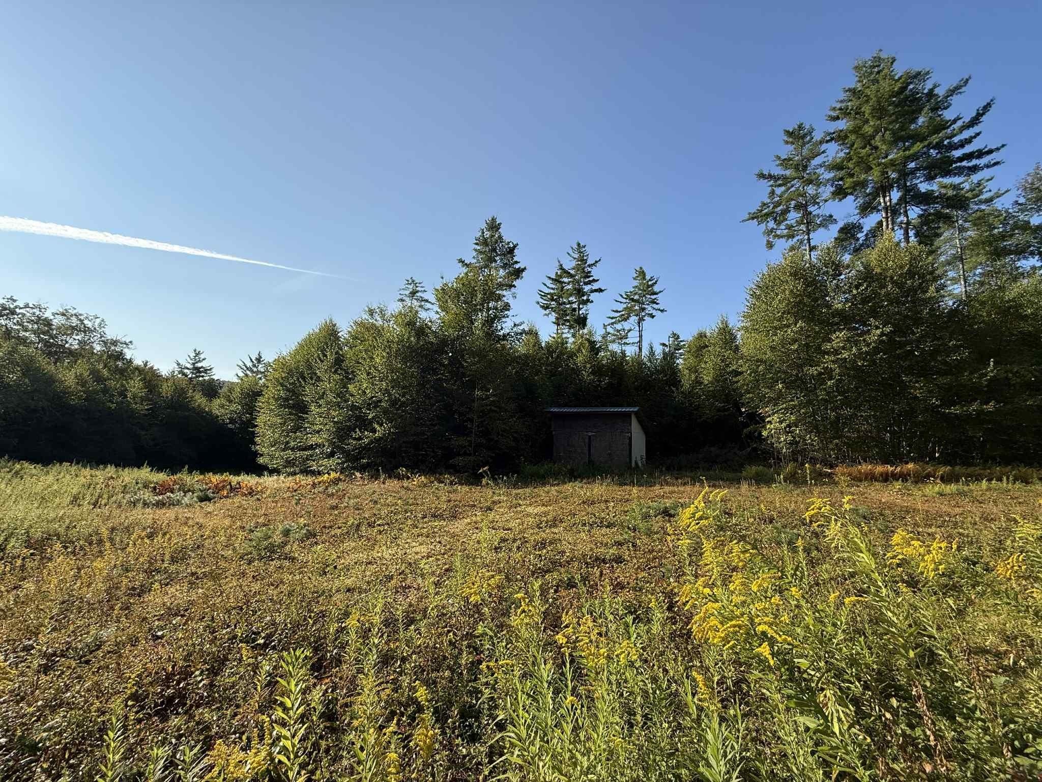 81 Parish Hill Road Newfane, VT 05351 - Photo 24 of 59