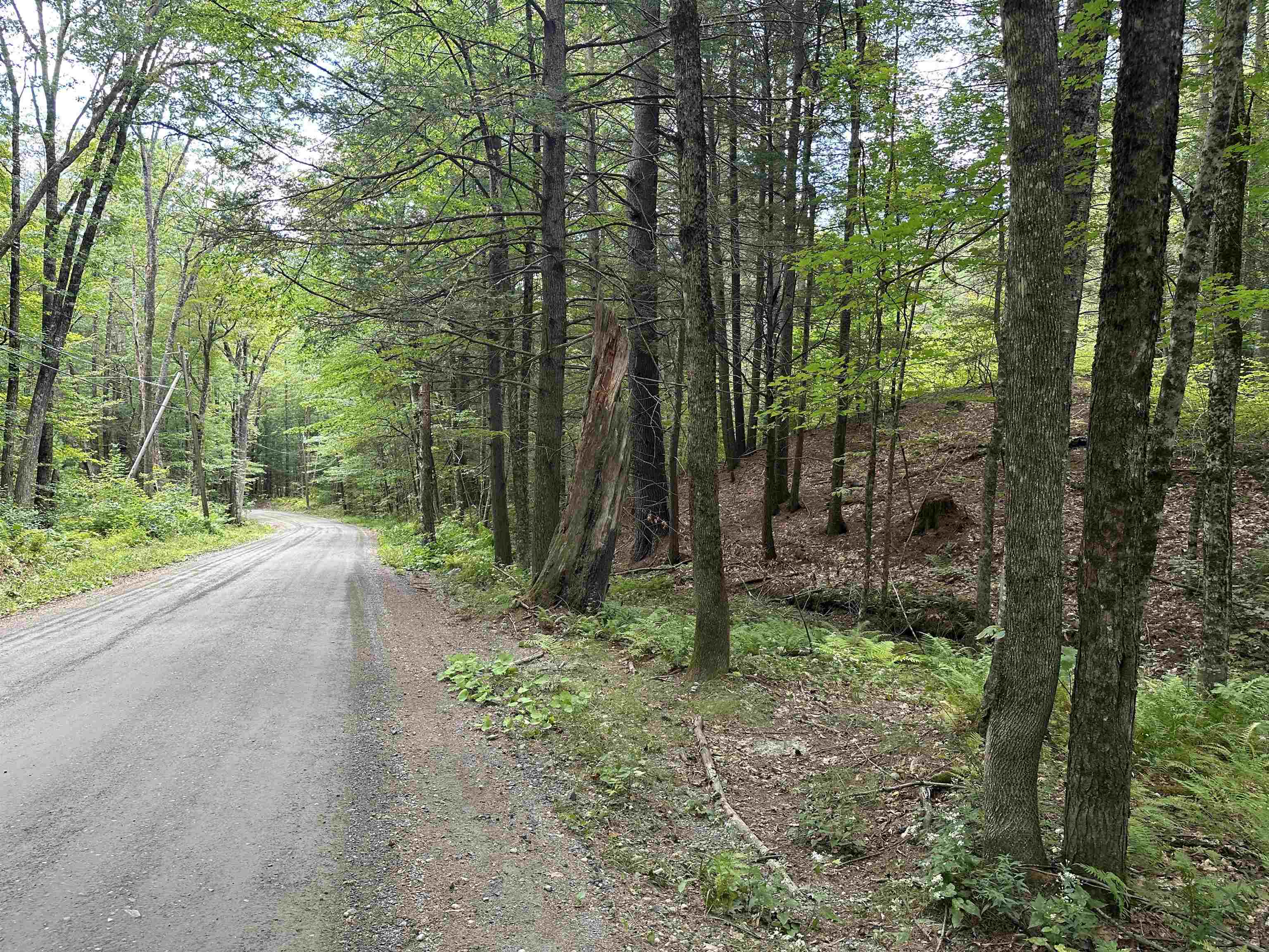 81 Parish Hill Road Newfane, VT 05351 - Photo 26 of 59