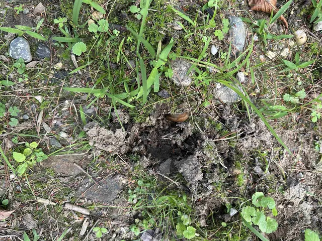 $275,000 | 81 Parish Hill Road, Newfane, VT 05351