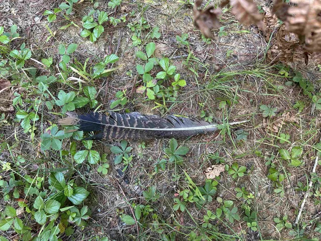 $275,000 | 81 Parish Hill Road, Newfane, VT 05351