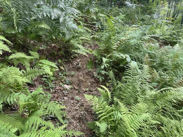 $275,000 | 81 Parish Hill Road, Newfane, VT 05351