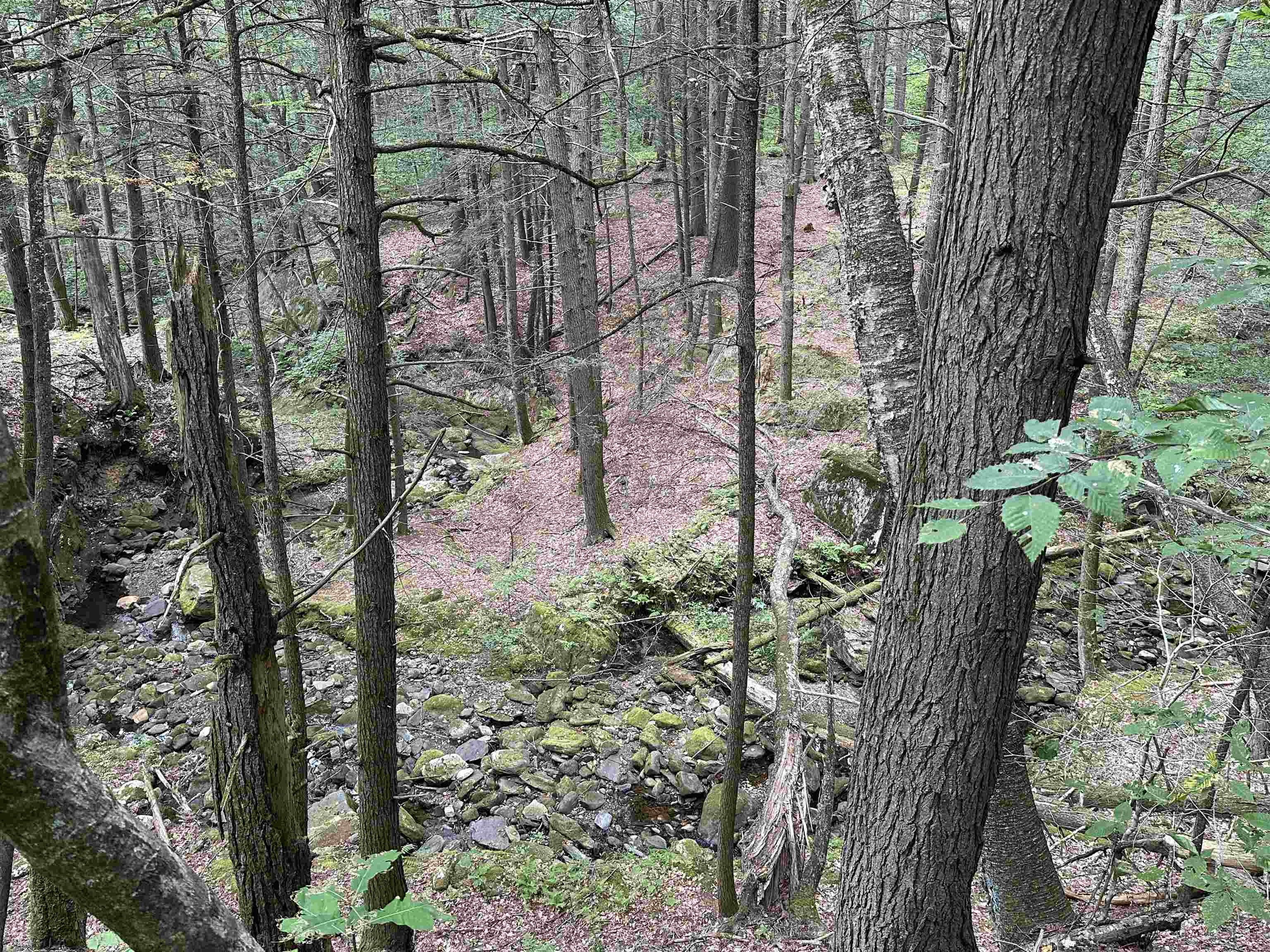 81 Parish Hill Road Newfane, VT 05351 - Photo 33 of 59