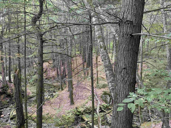 $275,000 | 81 Parish Hill Road, Newfane, VT 05351
