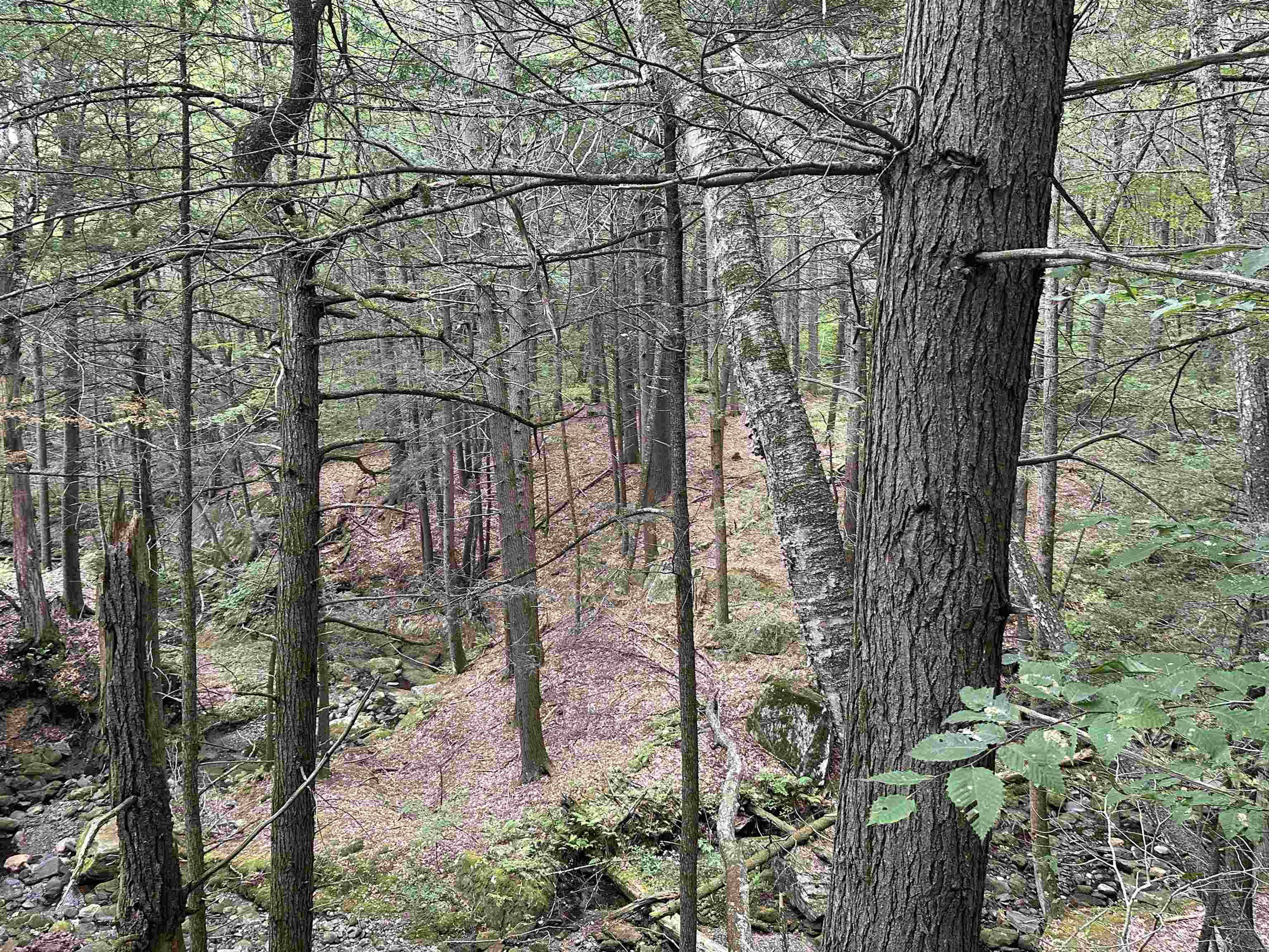 81 Parish Hill Road Newfane, VT 05351 - Photo 34 of 59