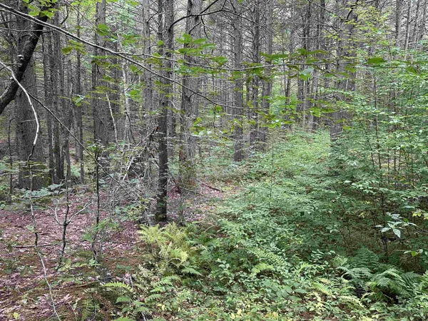 $275,000 | 81 Parish Hill Road, Newfane, VT 05351