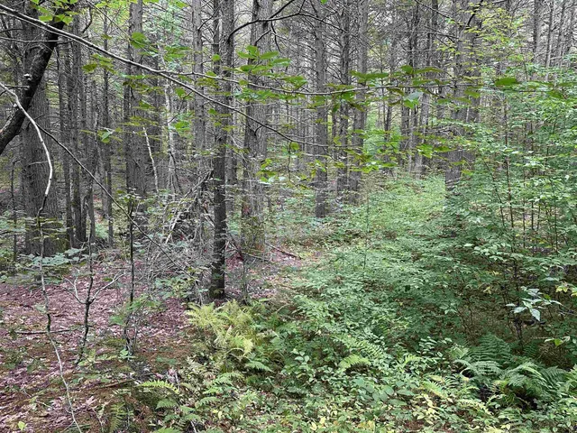 $275,000 | 81 Parish Hill Road, Newfane, VT 05351