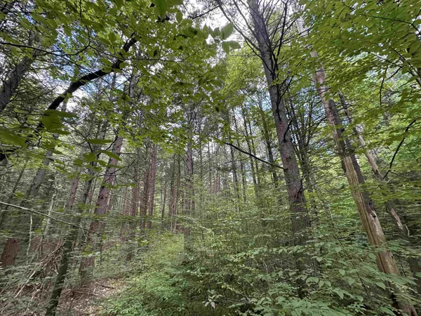 $275,000 | 81 Parish Hill Road, Newfane, VT 05351