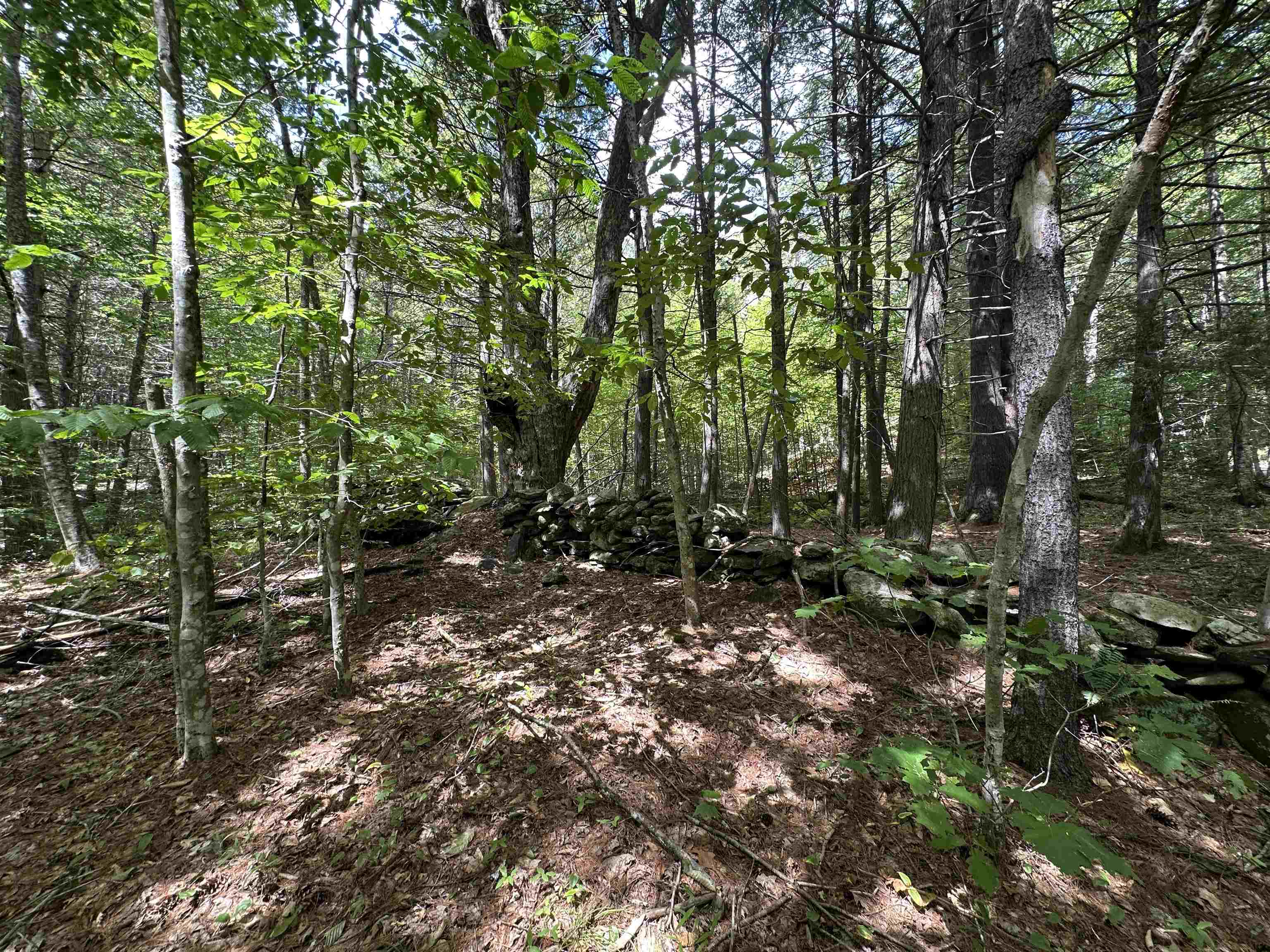 81 Parish Hill Road Newfane, VT 05351 - Photo 37 of 59