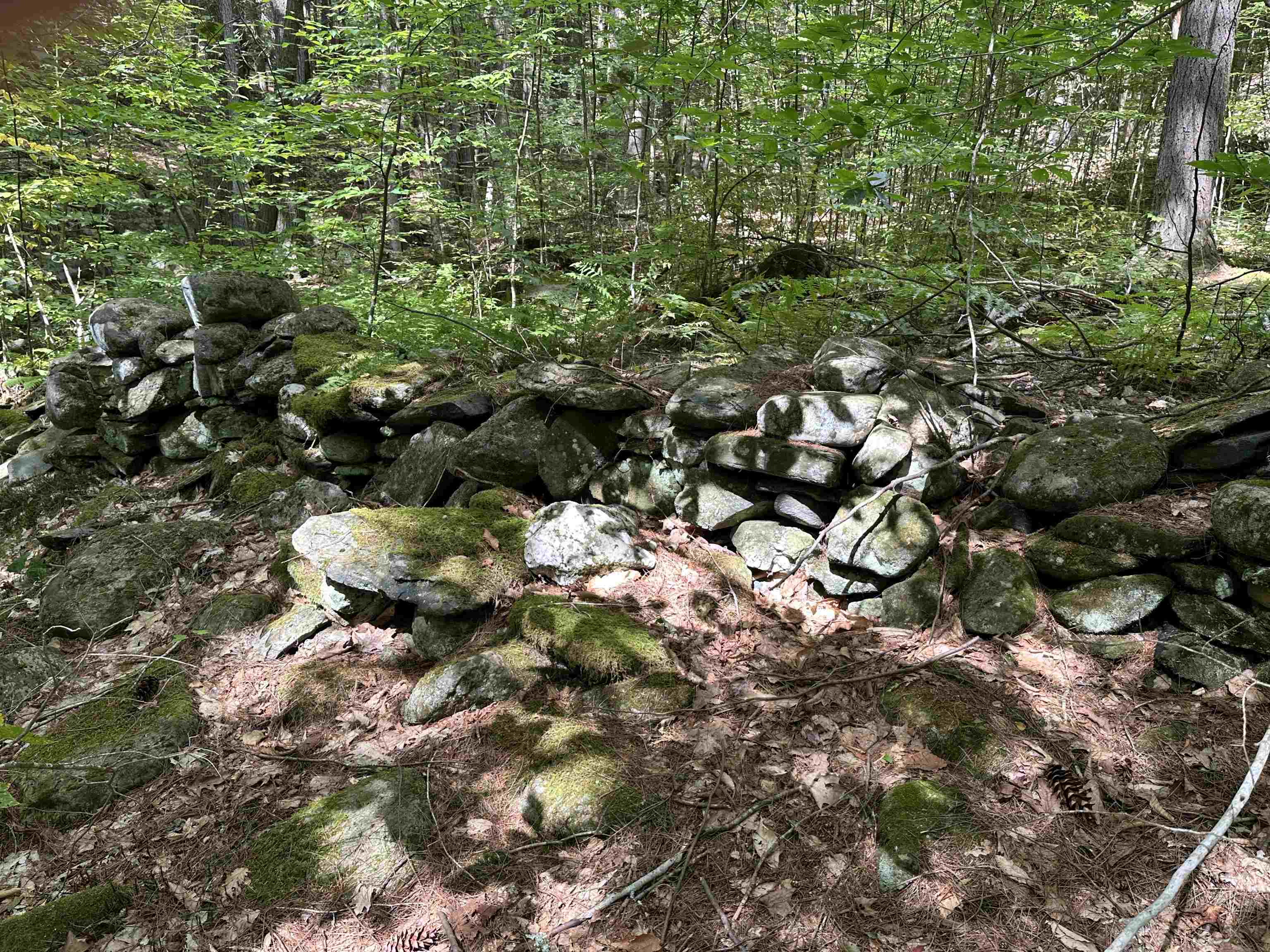 81 Parish Hill Road Newfane, VT 05351 - Photo 38 of 59