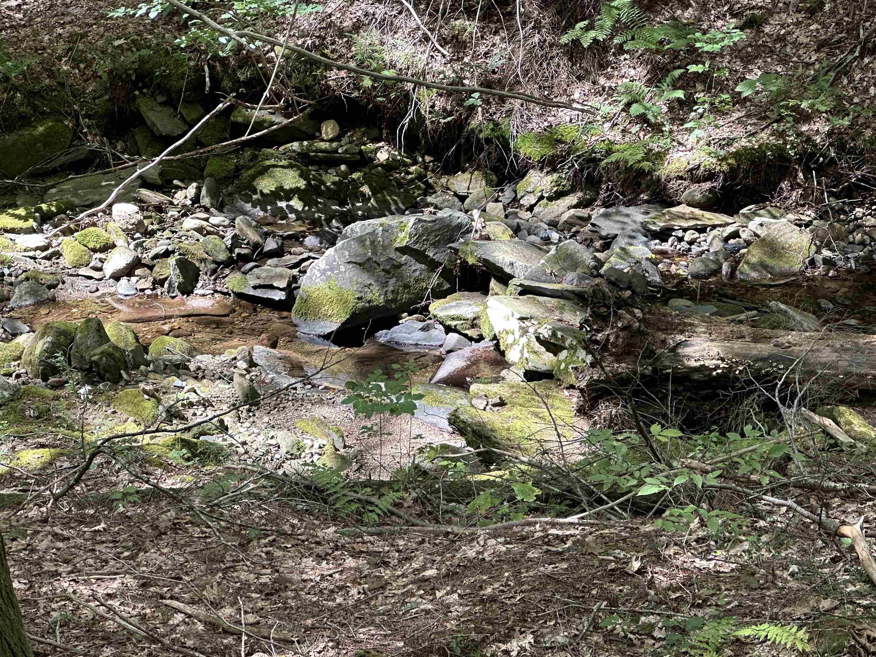 81 Parish Hill Road Newfane, VT 05351 - Photo 39 of 59