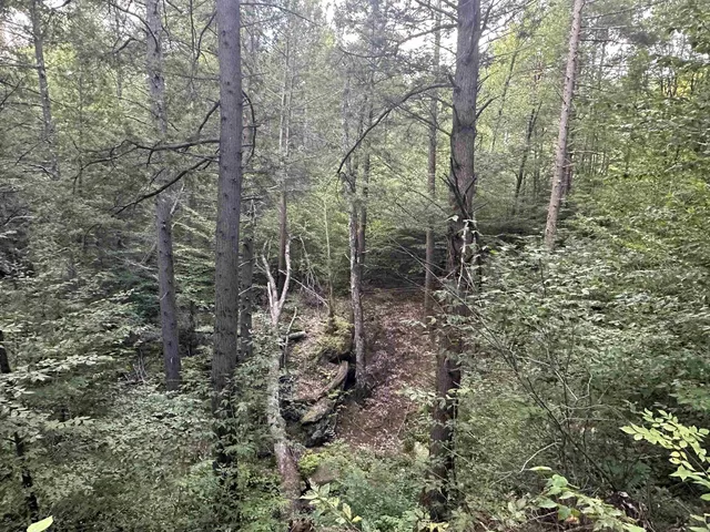 $275,000 | 81 Parish Hill Road, Newfane, VT 05351