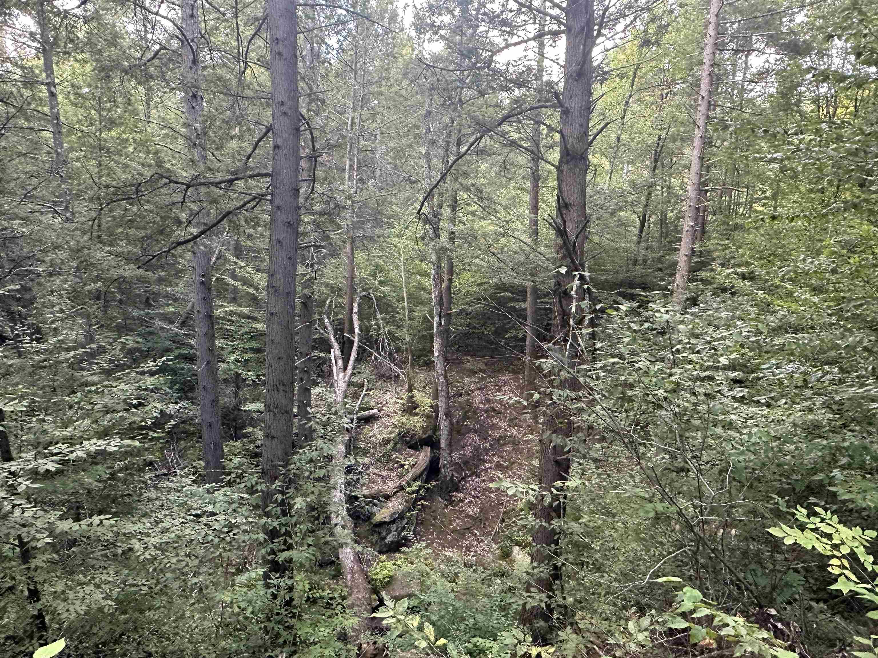 81 Parish Hill Road Newfane, VT 05351 - Photo 41 of 59