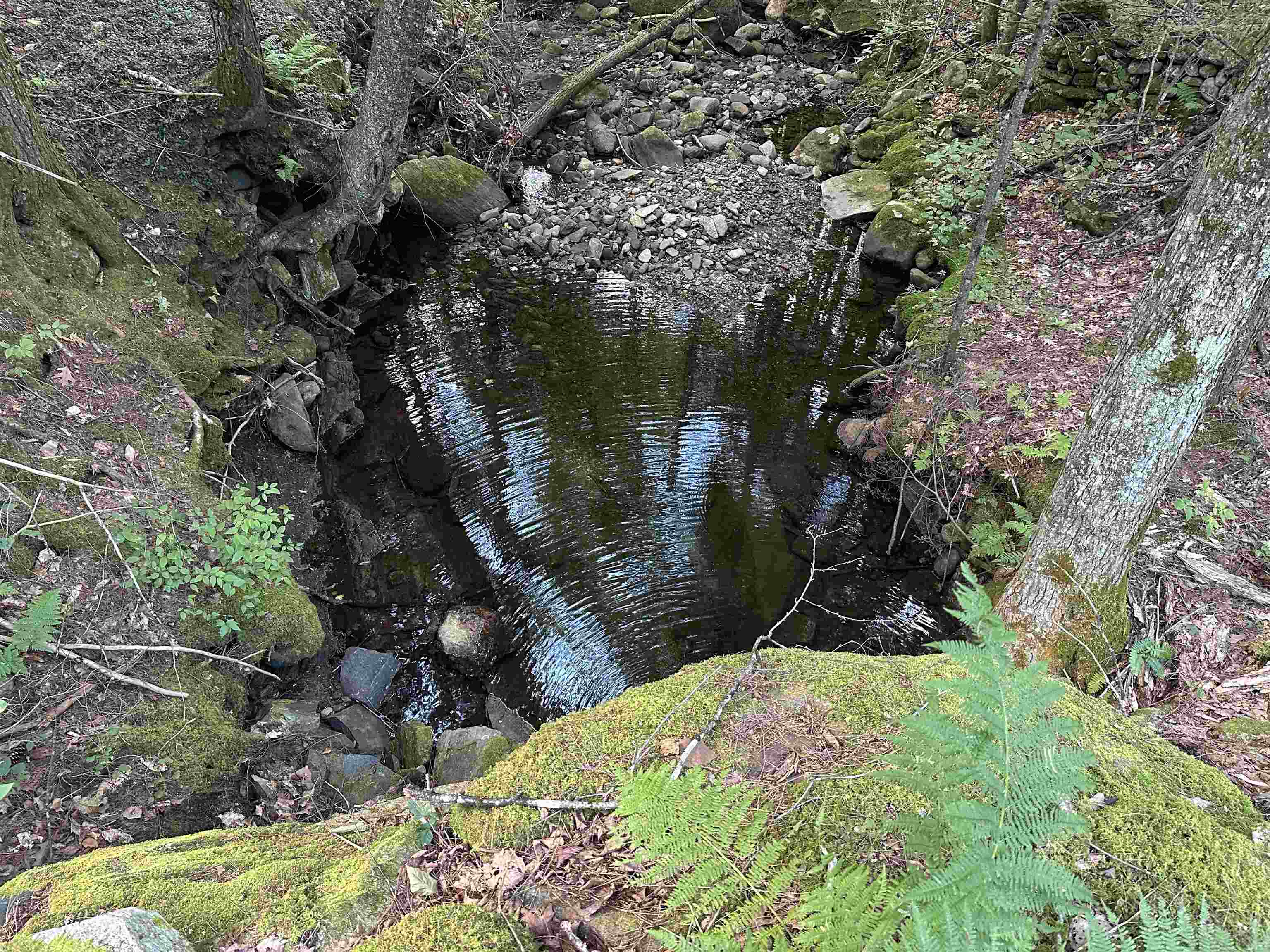 81 Parish Hill Road Newfane, VT 05351 - Photo 42 of 59