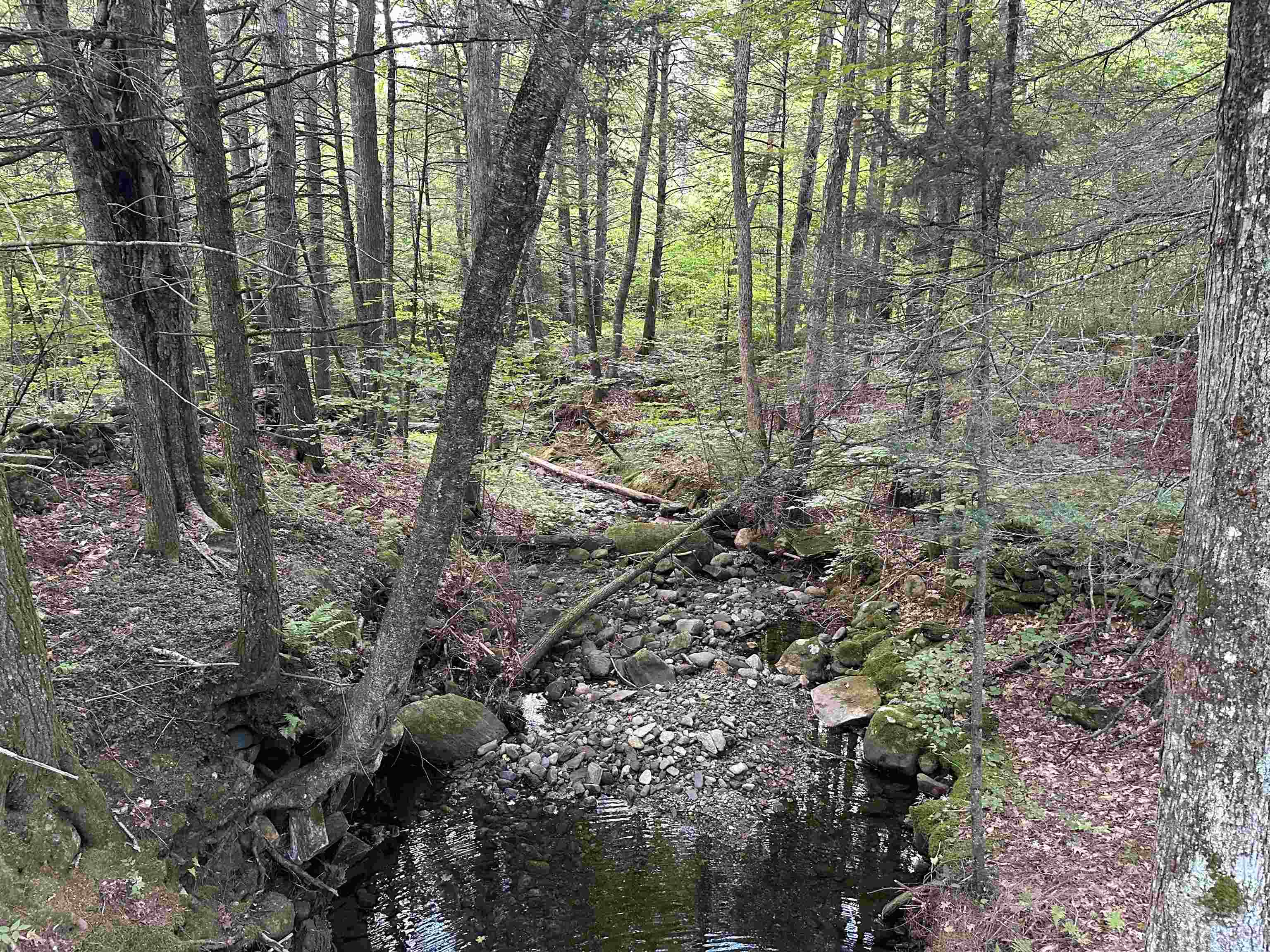 81 Parish Hill Road Newfane, VT 05351 - Photo 43 of 59