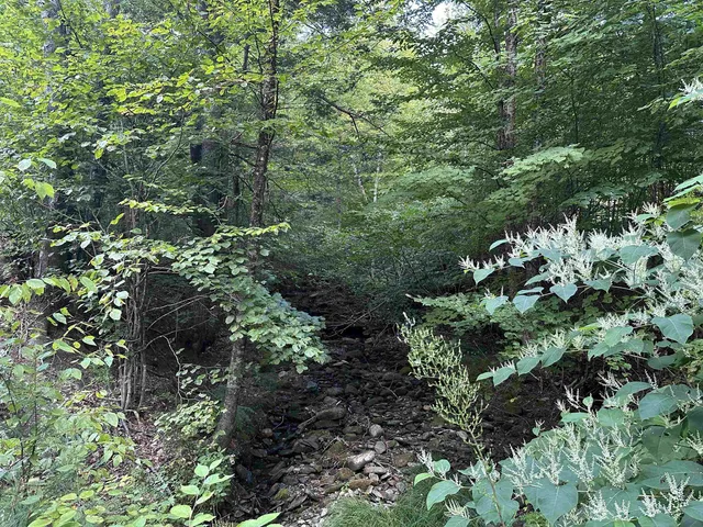 $275,000 | 81 Parish Hill Road, Newfane, VT 05351